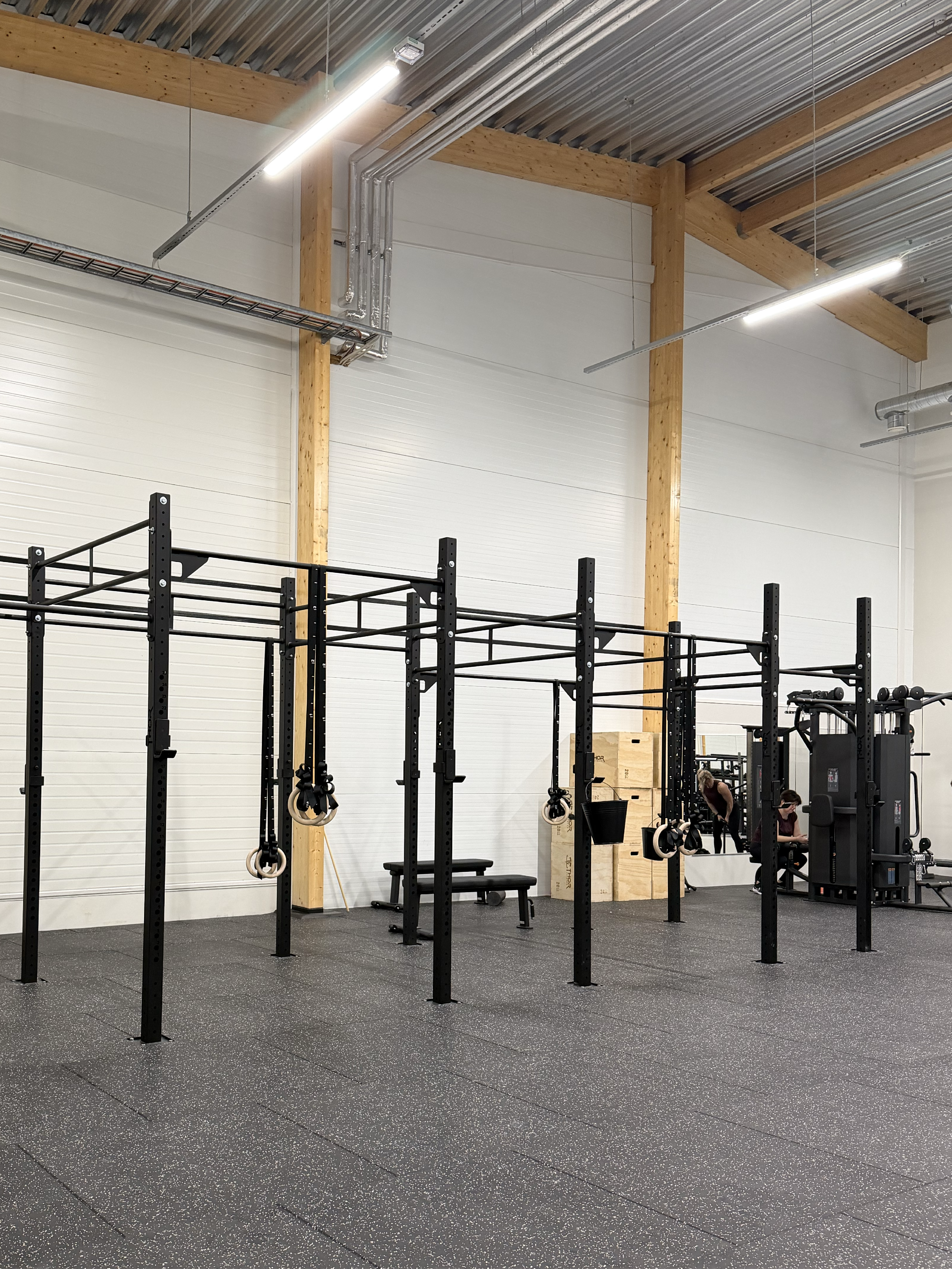 Ett stort ställningssystem med monkey bars och upphängda ringar, anpassat för funktionell träning och kroppsviktsövningar
